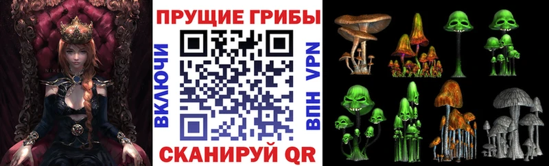 где найти наркотики  Кисловодск  Псилоцибиновые грибы Psilocybine cubensis 