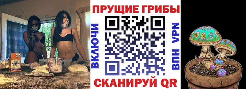 Галлюциногенные грибы мицелий Кисловодск